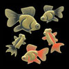 430 goldfish black